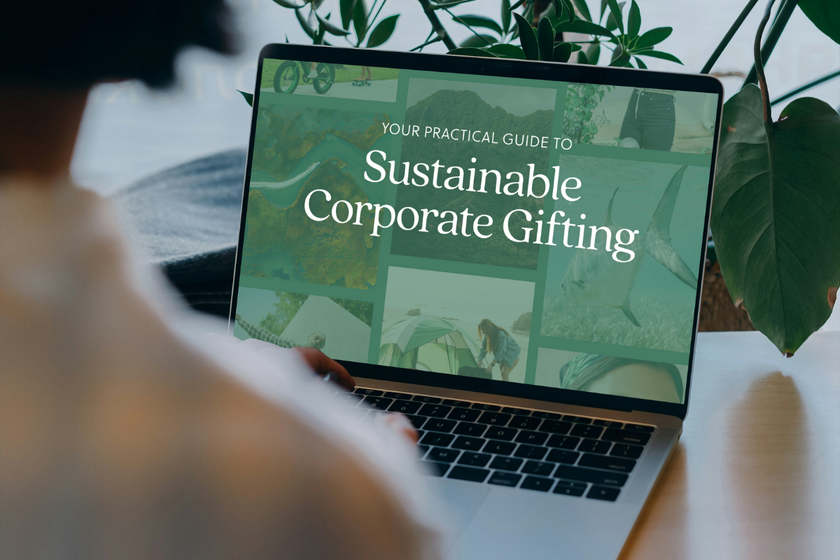 Cultivate_Your Practical Guide to Sustainable Corporate Gifting_Email Banner
