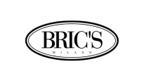 Brics Logo